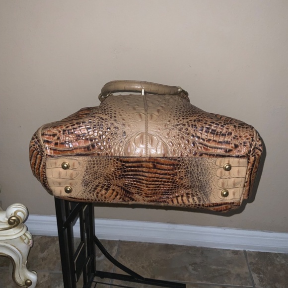 Brahmin - Picture 7 of 9